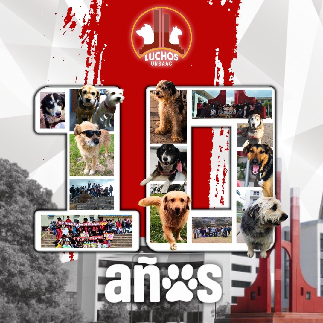Imagen del evento: 10 Años Luchos Unsaaac